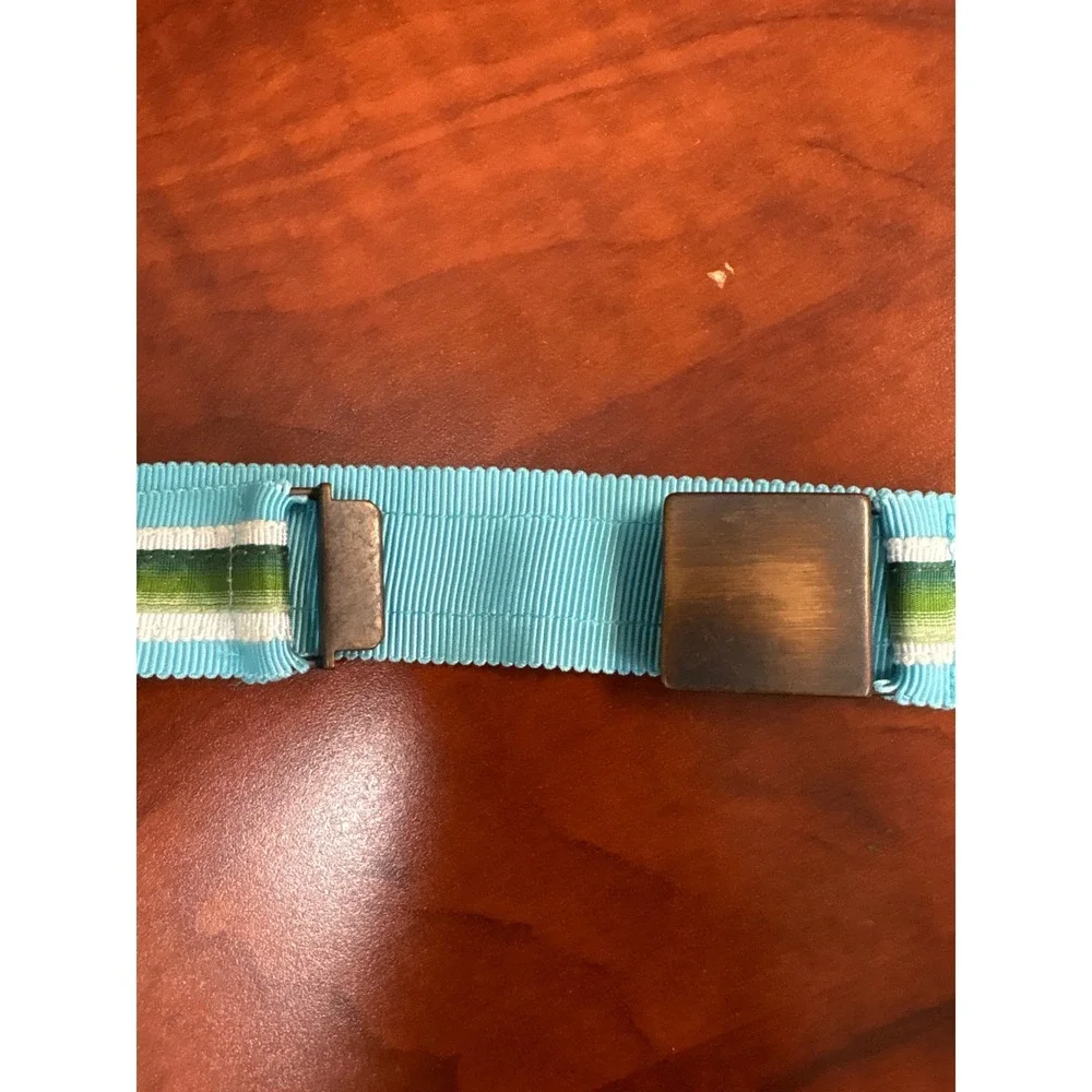 Striped Grosgrain Ribbon Belt‎ Turquoise Green Bronze Buckle